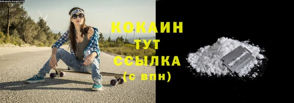 экстази Дмитриев