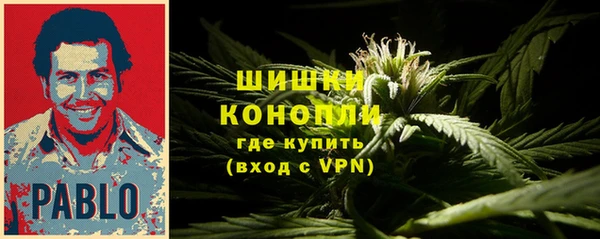 ПСИЛОЦИБИНОВЫЕ ГРИБЫ Елизово